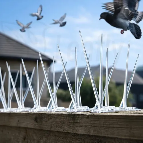 Bird spikes installation